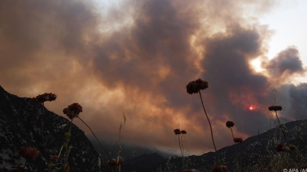 Brände in Kalifornien: 8000 Quadratkilometer verwüstet