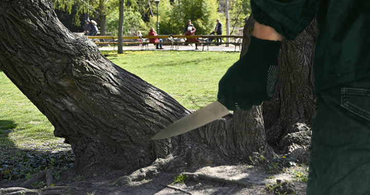 Bursche in Wiener Park niedergestochen
