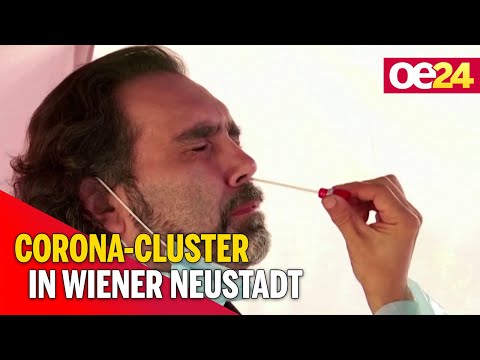 Corona-Cluster in Wiener Neustadt gemeldet
