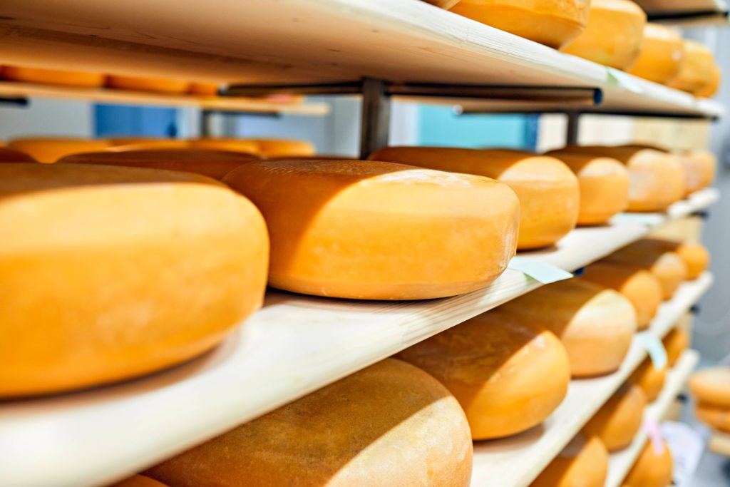 Niederlande: Käsediebe dank Käsestempel überführt