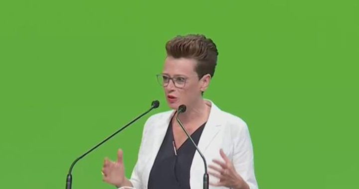 Grüne: Eva Schobesberger über Bundeskongress als Stimmungsbarometer