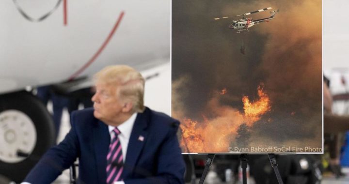 US- Präsident Biden zu Waldbränden