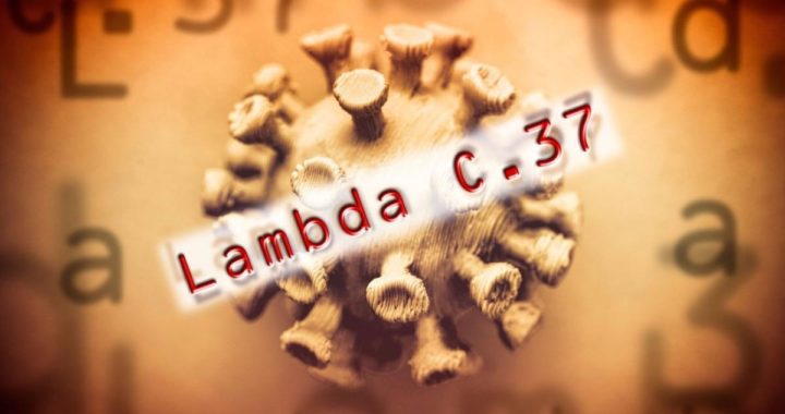 Wie gefährlich ist die Lambda-Variante?