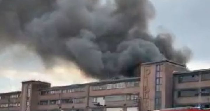 Großbrand: Fabrik in Traiskirchen steht in Flammen