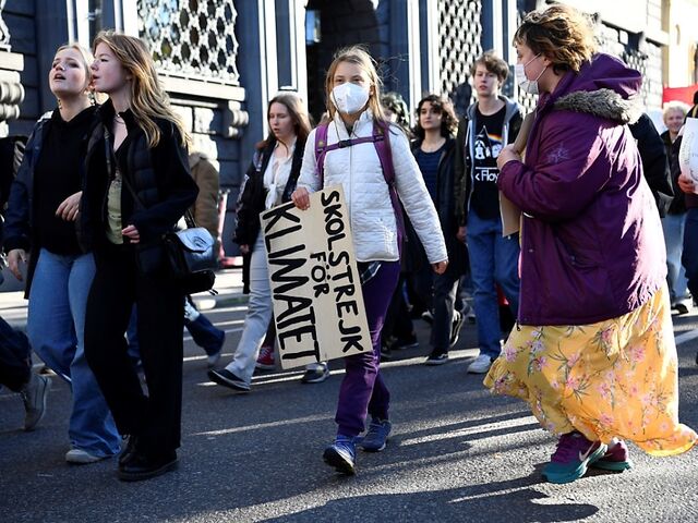 Klimaaktivisten protestieren mit Thunberg in Stockholm