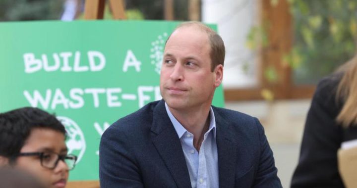 Klimaschutz für Prinz William wichtiger als Weltraumtourismus