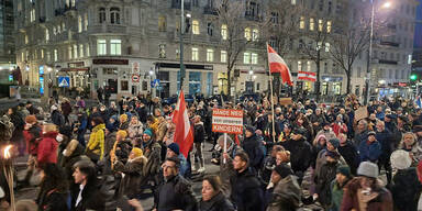 Gegendemonstrationen in Wiener City