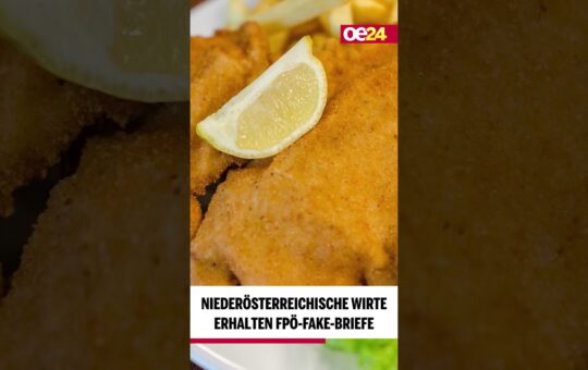 Niederösterreichische Wirte erhalten FPÖ-Fake-Briefe 💌 #shorts