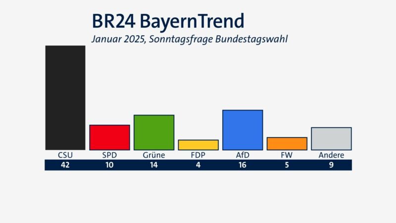 Bundestagswahl 2025: Wie schneiden die Parteien in den Umfragen ab?