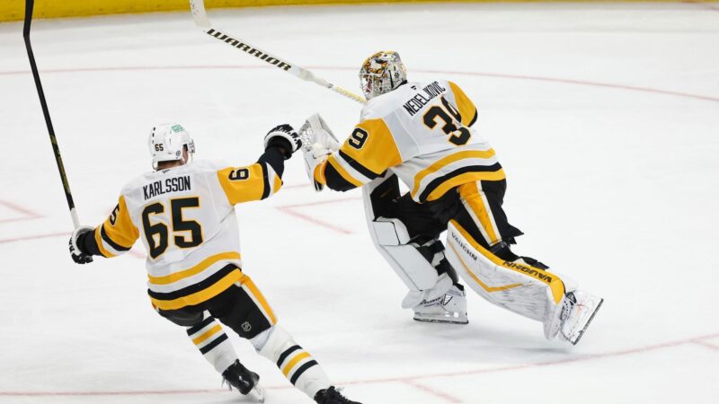 Eishockey-Goalie Nedeljkovic schrieb NHL-Geschichte