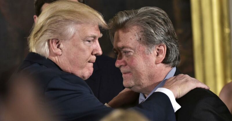 Ex-Trump-Chefberater gegen Musk: “Ich werde für seinen Rausschmiss sorgen”