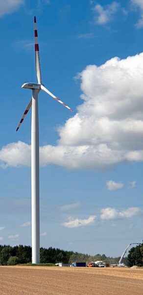 Geschützte Vögel verhindern Ausbau von Windkraft im Waldviertel