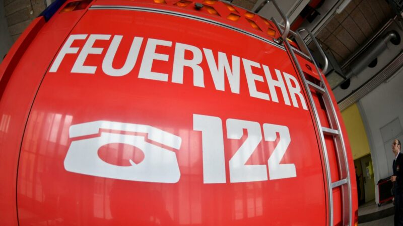 Großeinsatz in Herzogenburg: 62 Schafe bei Brand getötet