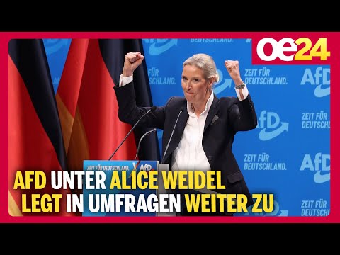 AfD unter Alice Weidel legt in Umfragen weiter zu