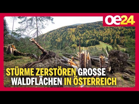 Stürme zerstören große Waldflächen in Österreich