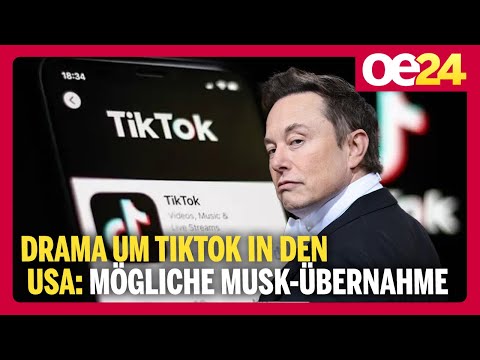 Drama um TikTok in den USA: Mögliche Musk-Übernahme