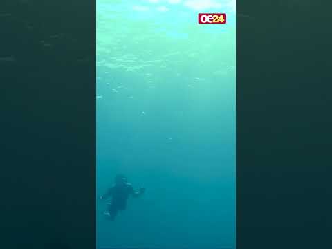 Spektakulär! Markus Rogan bricht bei der Eisschwimm-WM einen Weltrekord