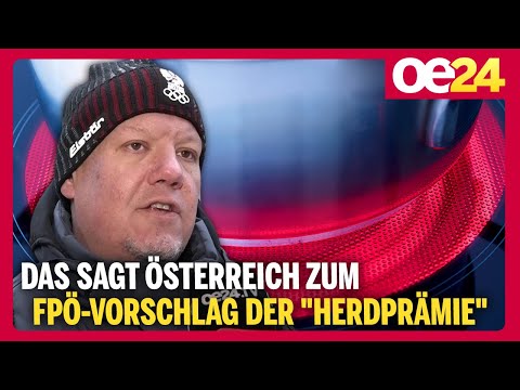 Das sagt Österreich zum FPÖ-Vorschlag der “Herdprämie”