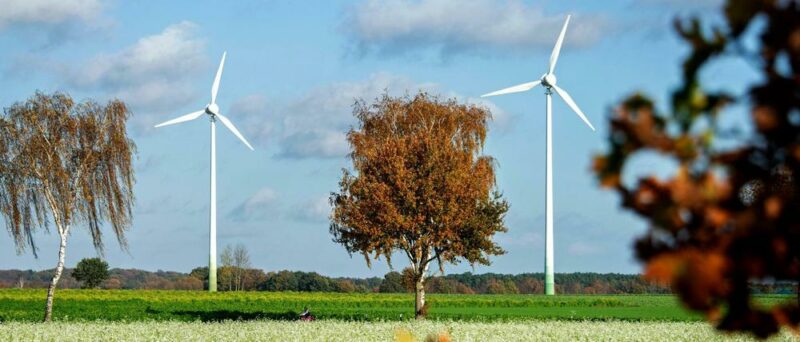 Mehr Klimaschutz, aber lieber doch keine Windräder?
