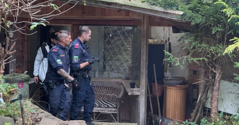 Mutter erstochen: Verdächtiger in Salzburg soll eingewiesen werden