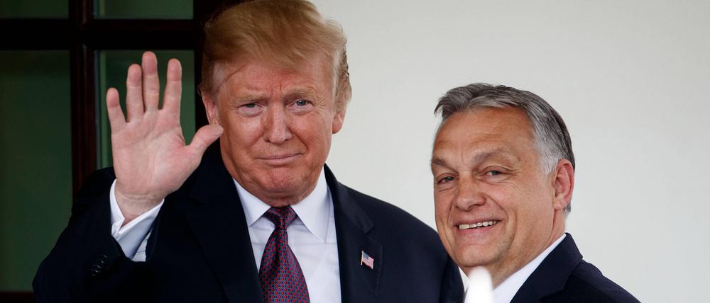 Orbán nimmt nicht an Amtseinführung von Trump teil
