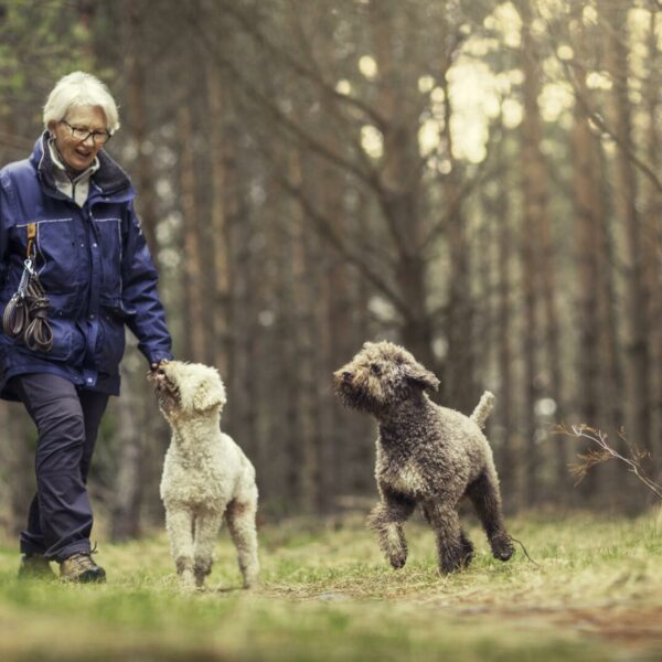 Welche bisher kaum beachtete positive Auswirkung ein Hund für ältere Menschen hat