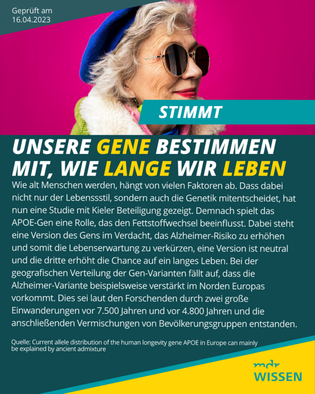 Wie wichtig die Gene und der Lebensstil für ein langes Leben sind
