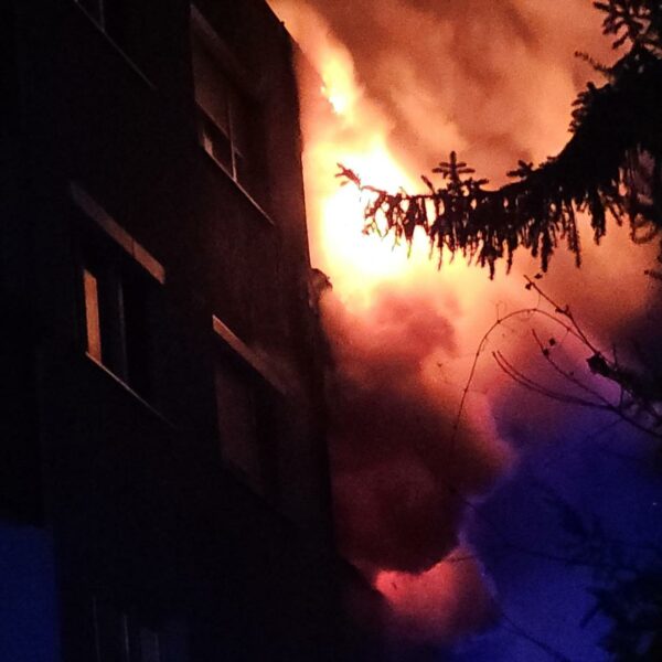 Zwei Tote bei Großbrand in Wohnhaus in Maria Enzersdorf