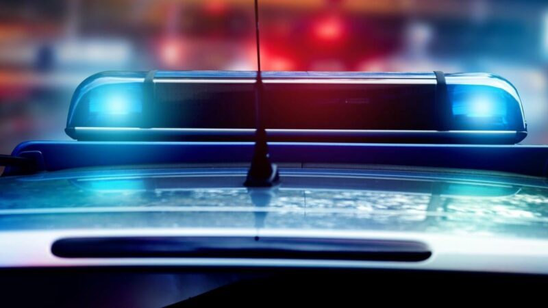 Am Grenzübergang Nickelsdorf: Reisebus mit gebrochener Lenkung gestoppt