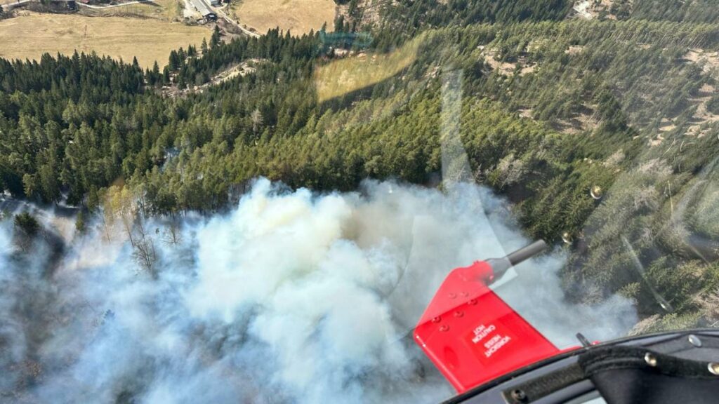 Erneuter Waldbrand im Raxgebiet: Brennendes Auto soll Auslöser sein