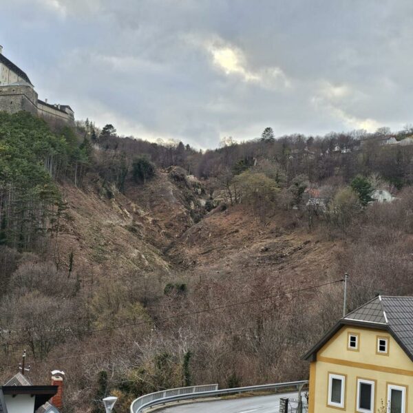 Hangrutschung unterhalb der Burg Forchtenstein muss gestoppt werden