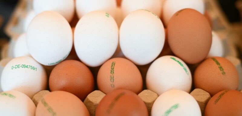 Hohe Eierpreise wegen Vogelgrippe: USA bitten EU-Länder um Hilfe