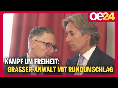 Kampf um Freiheit: Grasser-Anwalt mit Rundumschlag