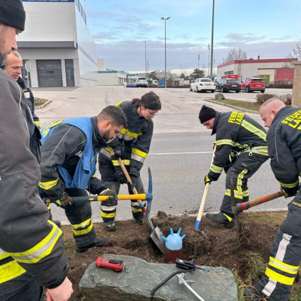 Igel steckte fest: Feuerwehr grub ihn samt Abflussrohr in Laxenburg aus
