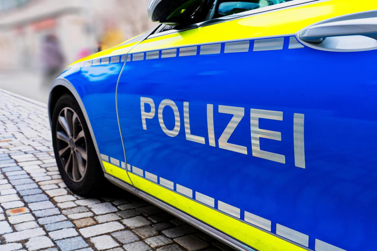 Kurioser Polizei-Einsatz: Leichenteile erwiesen sich als Sexspielzeug