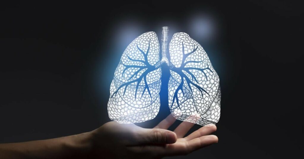 Lungenfibrose: Innovativer Therapieansatz könnte Transplantationen verhindern