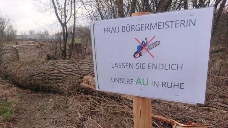 Protestschilder in Stockerau: Au-Bewirtschaftung scheidet die Geister