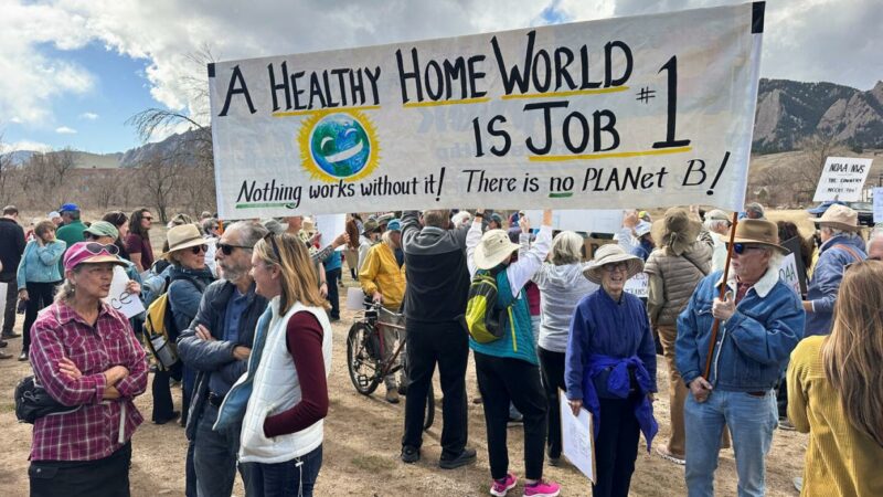 Rausschmeißen und Ausweiden: US-Forschungslandschaft am Abgrund