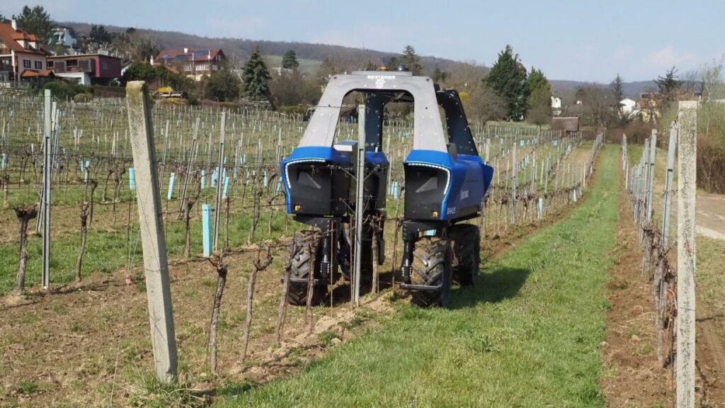 „Robo-Winzer“: Neue Zeiten im Weingarten