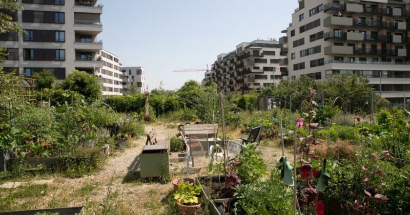 Stadtentwicklungsplan für Wien: Spagat zwischen Grün und Wohnbau