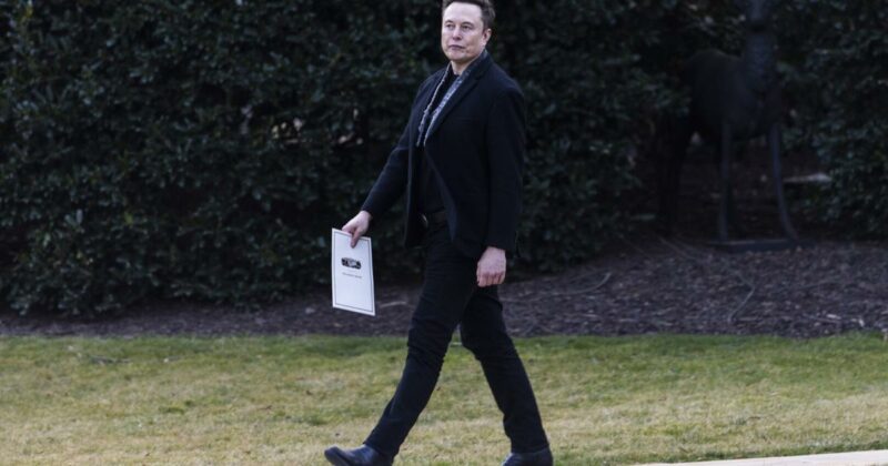 Trump dementiert Streit: Rubio und Musk verstehen sich “fabelhaft”