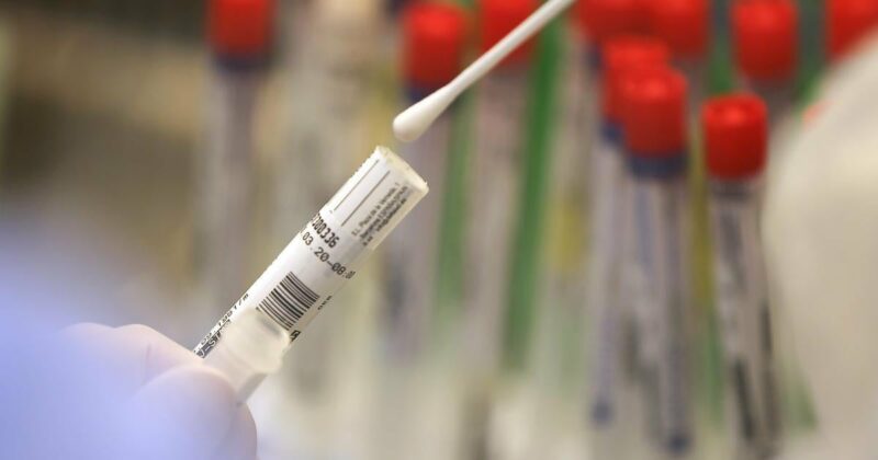 Von der DNA zum Krankheitsbild: Wie KI-Systeme das Diagnoseverfahren ändern