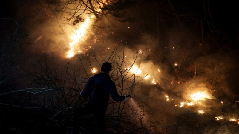 Waldbrände in Südkorea breiten sich aus: Mindestens 24 Tote