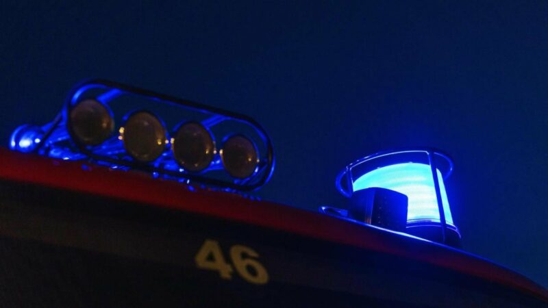 Wien Innere Stadt: Polizisten wurden von zwei Brüdern attackiert