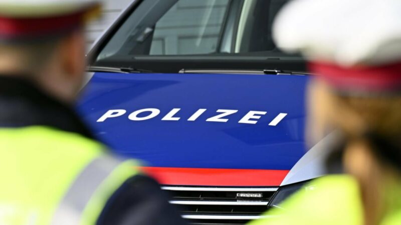 Ausgewiesener Pole wollte mit Kinderfahrrad betrunken auf Autobahn