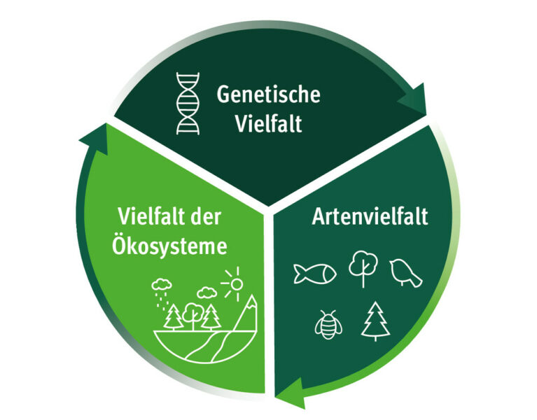Biodiversität: besser vernetzt und informiert