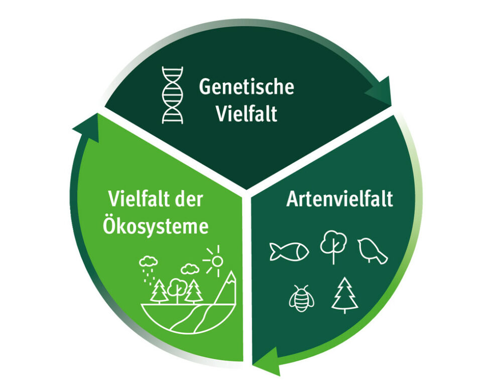 Biodiversität: besser vernetzt und informiert