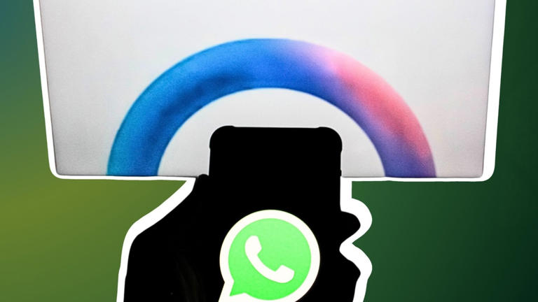 Blauer Ring bei WhatsApp: Was steckt dahinter?
