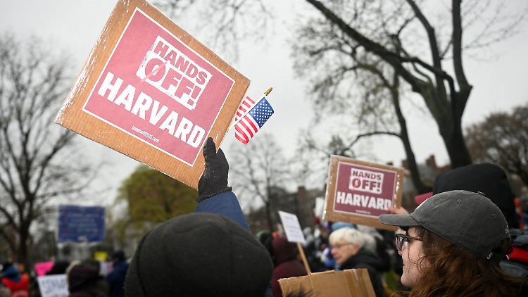 Eliteuni Harvard widersetzt sich Trump – und verliert Milliarden