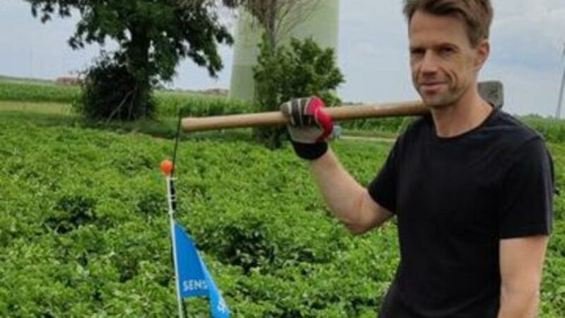 Forschung im Burgenland: Wie KI die Landwirtschaft nachhaltiger macht